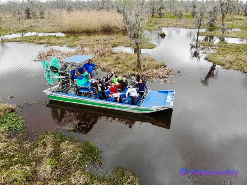 New Orleans: Airboat Swamp & City and Katrina Tour Combo - Key points to know before booking