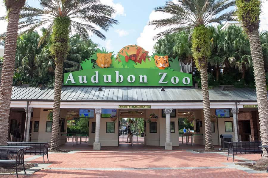 New Orleans: Audubon Zoo or Combo Ticket - Jaguar Jungle brings Central America into the zoo