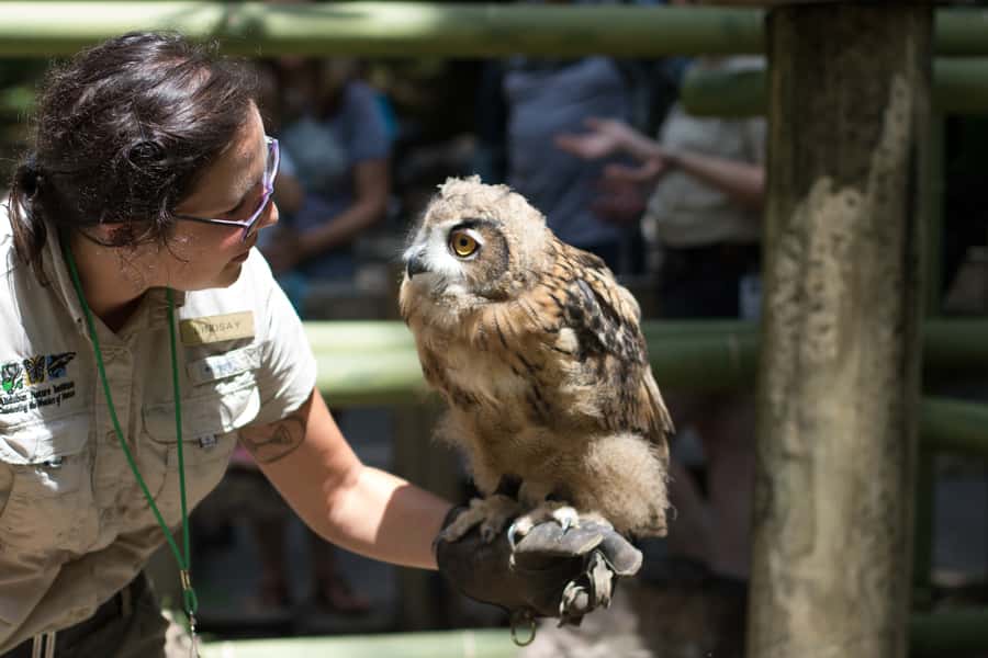 New Orleans: Audubon Zoo or Combo Ticket - Aquarium and Insectarium options: useful, but not automatic value