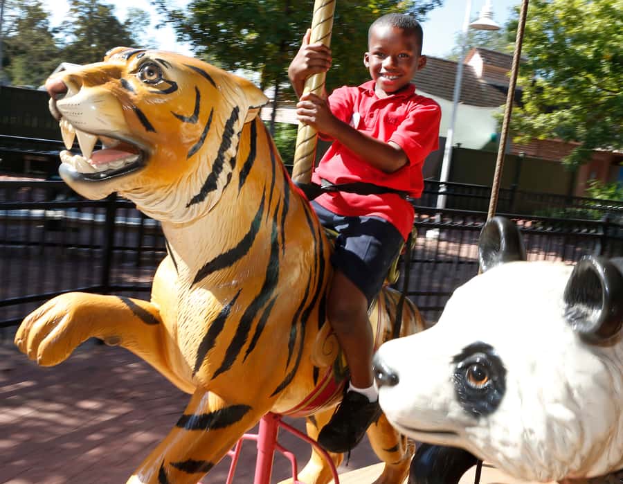 New Orleans: Audubon Zoo or Combo Ticket - Price and value at $31