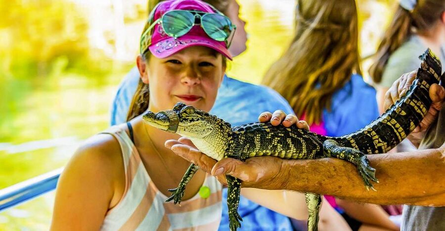 New Orleans: Bayou Swamp Tour and Oak Alley Plantation Tour - Two Louisiana stories in one day