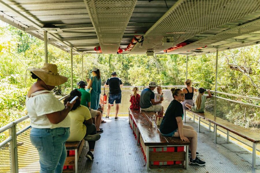 New Orleans: Bayou Tour in Jean Lafitte National Park - Why this swamp trip works so well from New Orleans