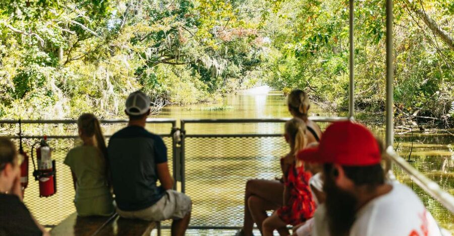 New Orleans: Bayou Tour in Jean Lafitte National Park - Food, drinks, and what to bring