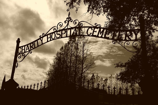 New Orleans Cemetery and Paranormal Investigation Bus Tour - City Park’s oaks and old New Orleans atmosphere