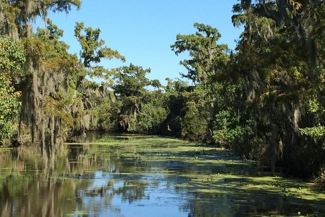 New Orleans City, Cemetery and Swamp Full-Day Tour - The airboat option: speed, noise, and close wildlife views