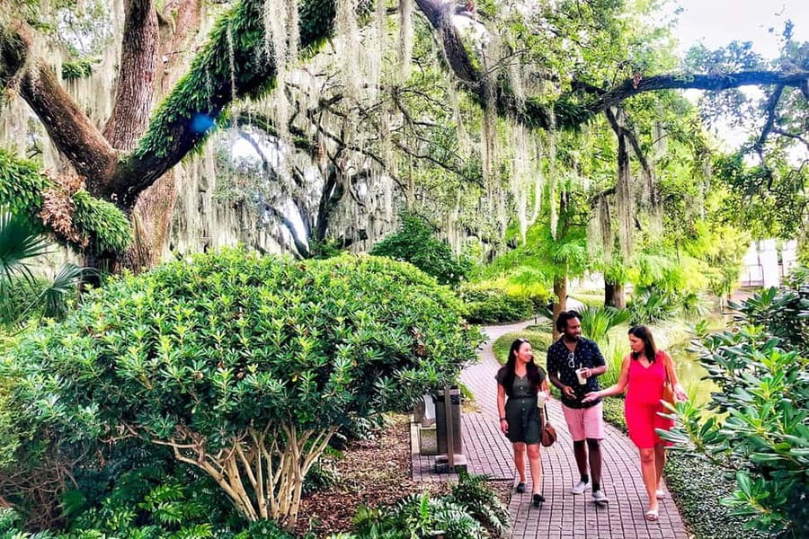 New Orleans: City & Cemetery Tour + Garden District Stroll - What this New Orleans tour really gives you