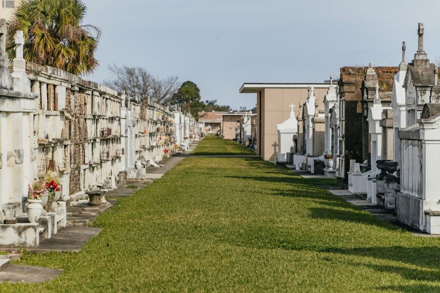 New Orleans: City & Cemetery Tour + Garden District Stroll - St. Charles Avenue, Audubon Park, and the Garden District