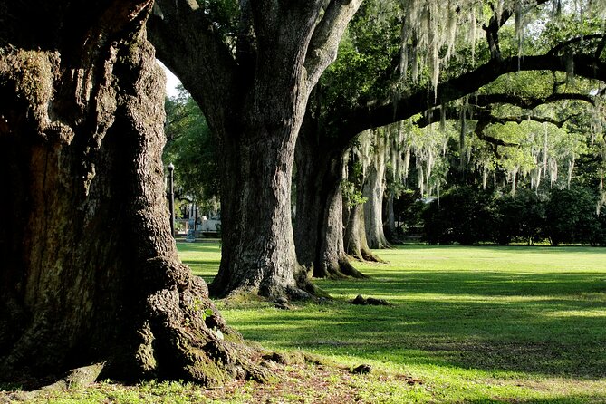 New Orleans: City Park Exploration Game and Tour - A fair look at the $7.18 price