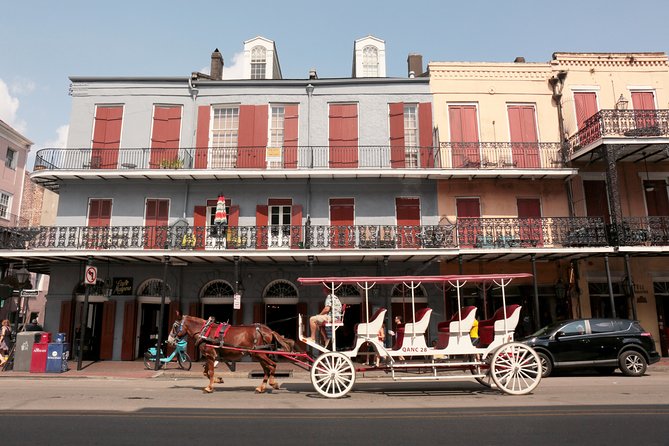 New Orleans City Sightseeing Hop-On Hop-Off Bus Tour - A practical first look at New Orleans