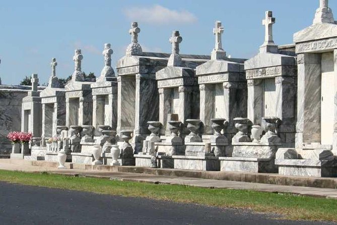 New Orleans City Tour: French Quarter, Garden District & Cemetery - City Park, oak trees, and Spanish moss