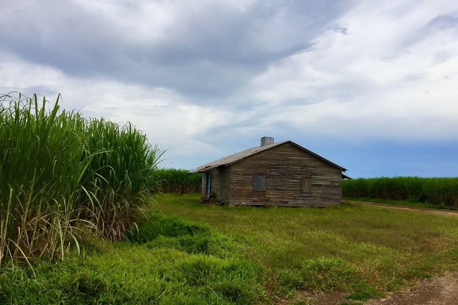 New Orleans: Destrehan Plantation & Airboat Combo Tour - Should you book the Destrehan and airboat combo?