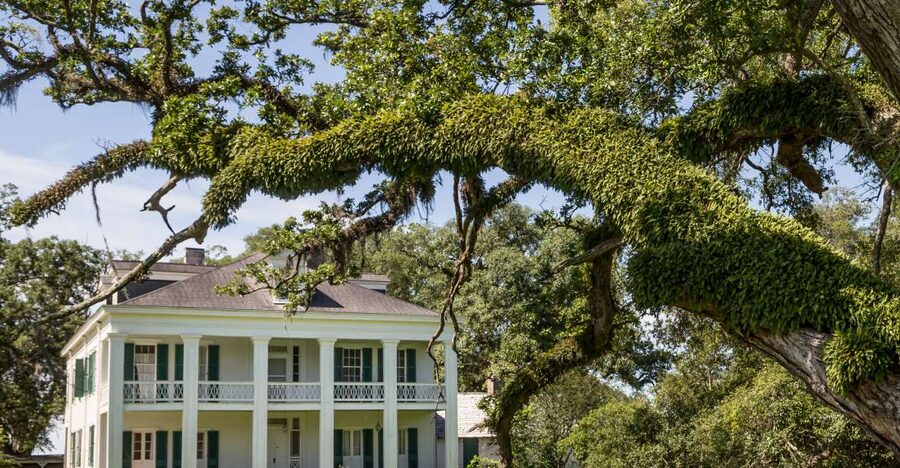 New Orleans: Felicity Plantation Guided Tour - What the 90 minutes actually gives you