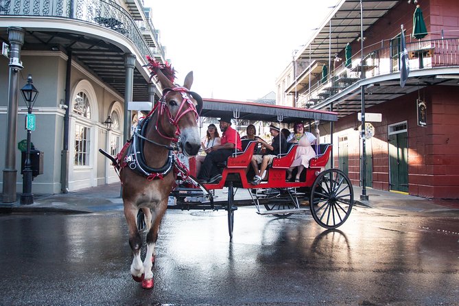 New Orleans French Quarter and More Carriage Ride - Meeting at 700 Decatur Street