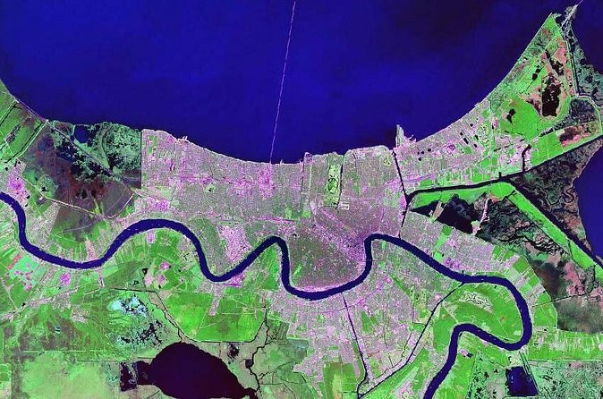 New Orleans French Quarter Walking and History Tour - Pace, group size, and guide quality
