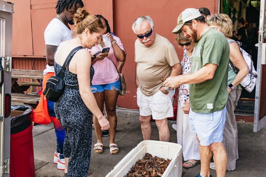 New Orleans: Garden District Food, Drinks & History Tour - Lafayette Cemetery and the customs of mourning