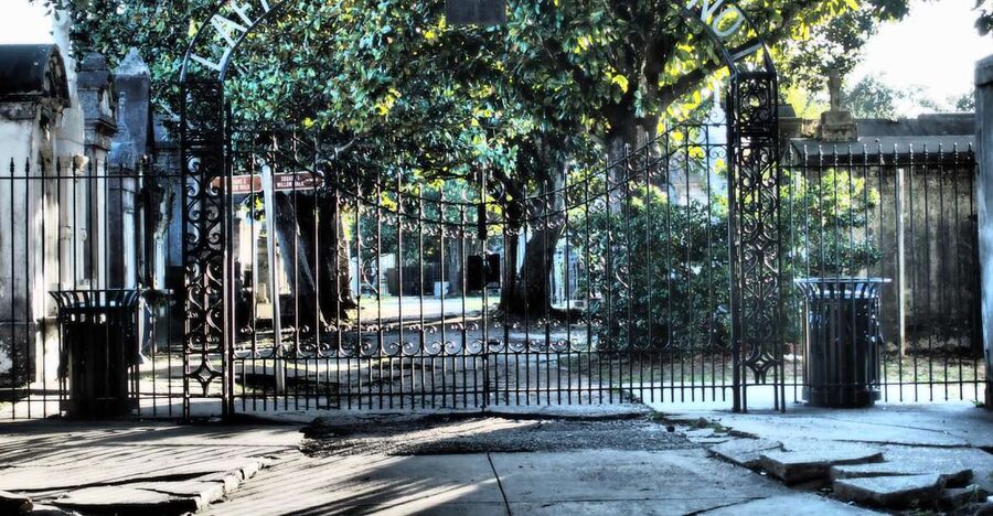 New Orleans: Garden District Tour - My verdict: book it for context, not just photographs