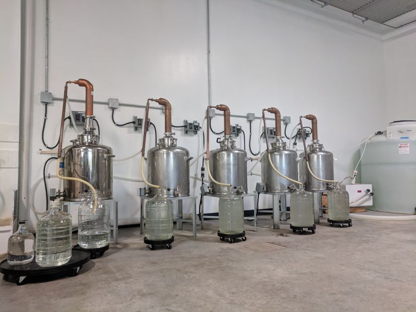 New Orleans: Guided Rum Distillery Tour and Tasting - Should you book the Roulaison rum tour?