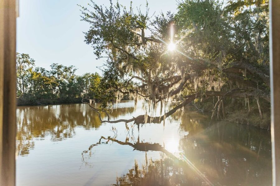 New Orleans: Guided Swamp Cruise by Tour Boat - Leaving New Orleans for the Barataria Swamp