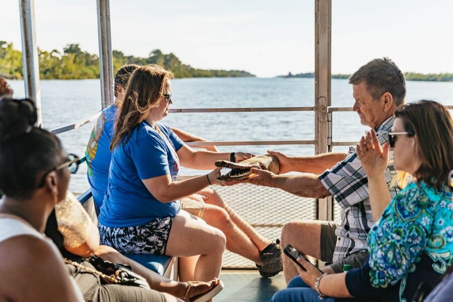 New Orleans: Guided Swamp Cruise by Tour Boat - Alligators, raccoons, birds, and the luck of the day