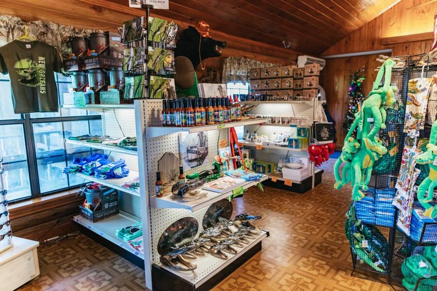 New Orleans: Guided Swamp Cruise by Tour Boat - The Cajun connection and the value of a local captain