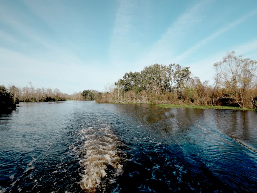 New Orleans: High Speed 16 Passenger Airboat Ride - Comfort, noise, weather, and safety