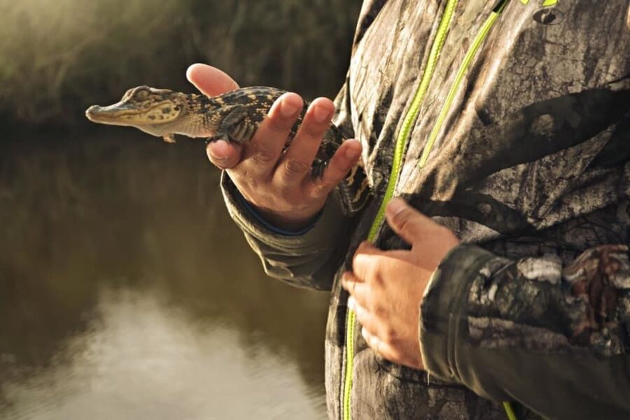 New Orleans: High Speed 16 Passenger Airboat Ride - Timing, pickup choices, and the real value of $65