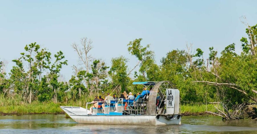 New Orleans: High Speed 9 Passenger Airboat Tour - From French Quarter streets to Barataria wetlands