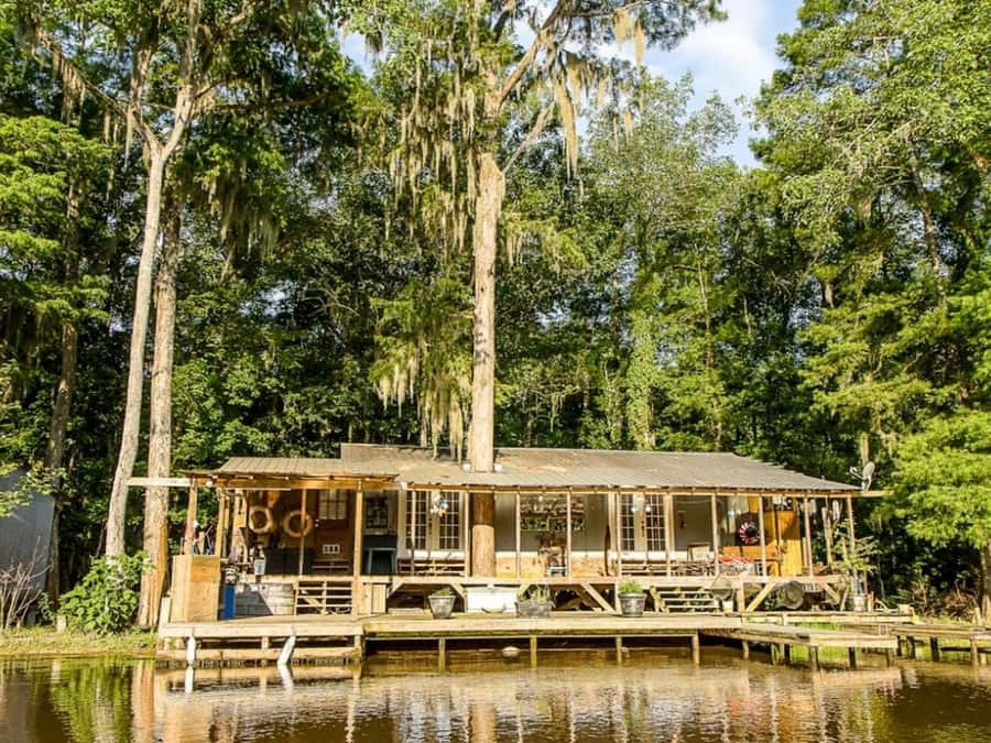 New Orleans: Honey Island Swamp Tour - A two-hour route through cypress and moss