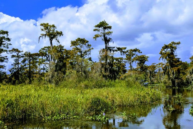 New Orleans Large Airboat Swamp Tour - Speed, spray, and photo stops