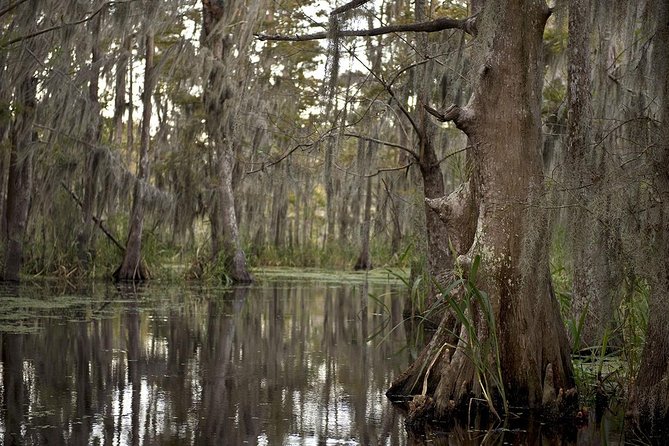 New Orleans Large Airboat Swamp Tour - Practical planning for a better ride
