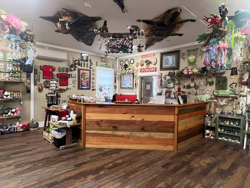 New Orleans Manchac Bayou Swamp Cruise W/ Optional Pick-Up - What you learn about Frenier and Louisiana’s wetlands