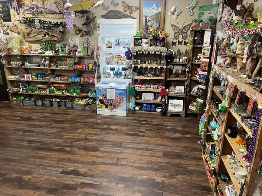 New Orleans Manchac Bayou Swamp Cruise W/ Optional Pick-Up - Why the transportation option can be worth choosing