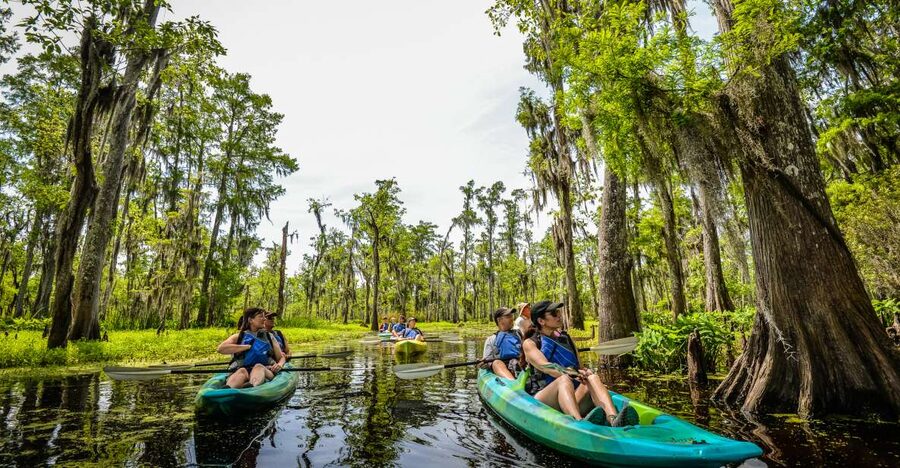 New Orleans: Manchac Magic Kayak Swamp Tour - Key points at a glance