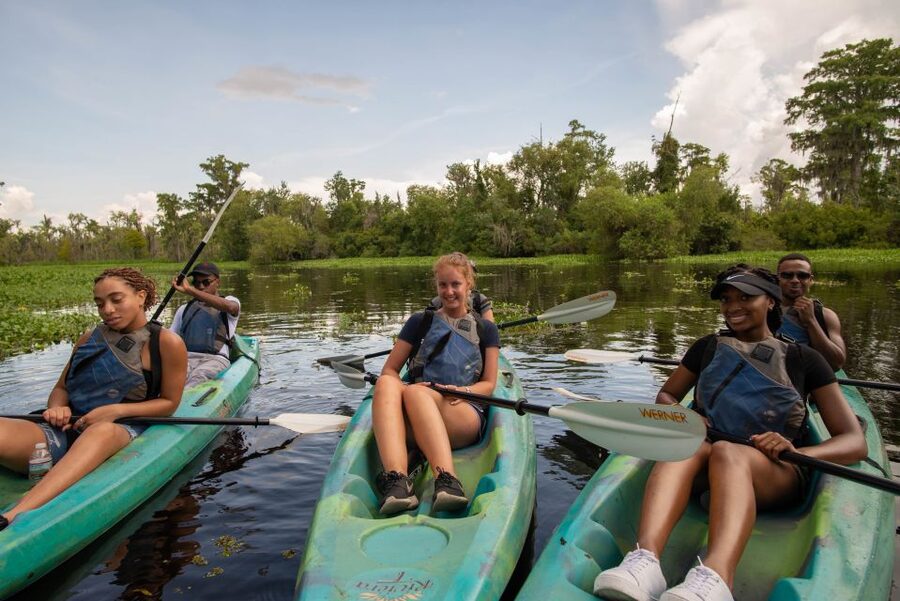 New Orleans: Manchac Magic Kayak Swamp Tour - Paddling beneath cypress trees