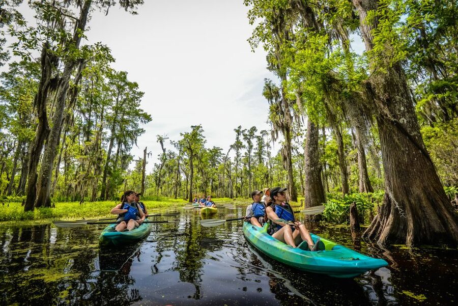 New Orleans: Manchac Magic Kayak Swamp Tour - Cypress logging and the ghost town of Ruddock