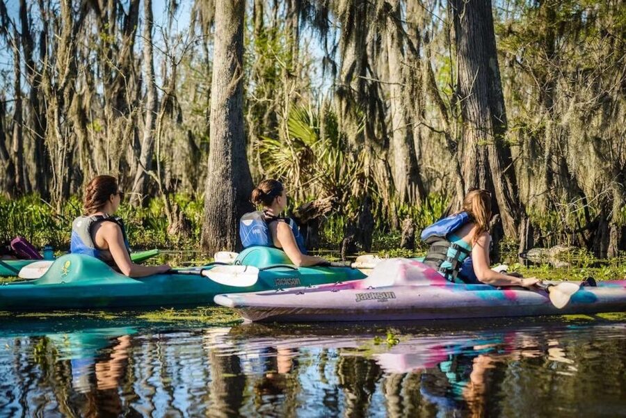 New Orleans: Manchac Magic Kayak Swamp Tour - Heat, clothing, and the real effort involved