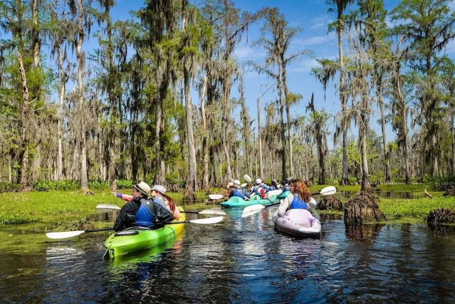 New Orleans: Manchac Magic Kayak Swamp Tour - Getting from Rampart Street to the bayou