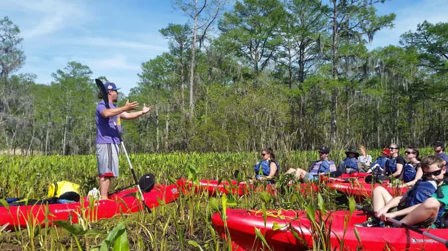 New Orleans: Manchac Swamp Wildlife Kayaking Tour - Key points to know before you book