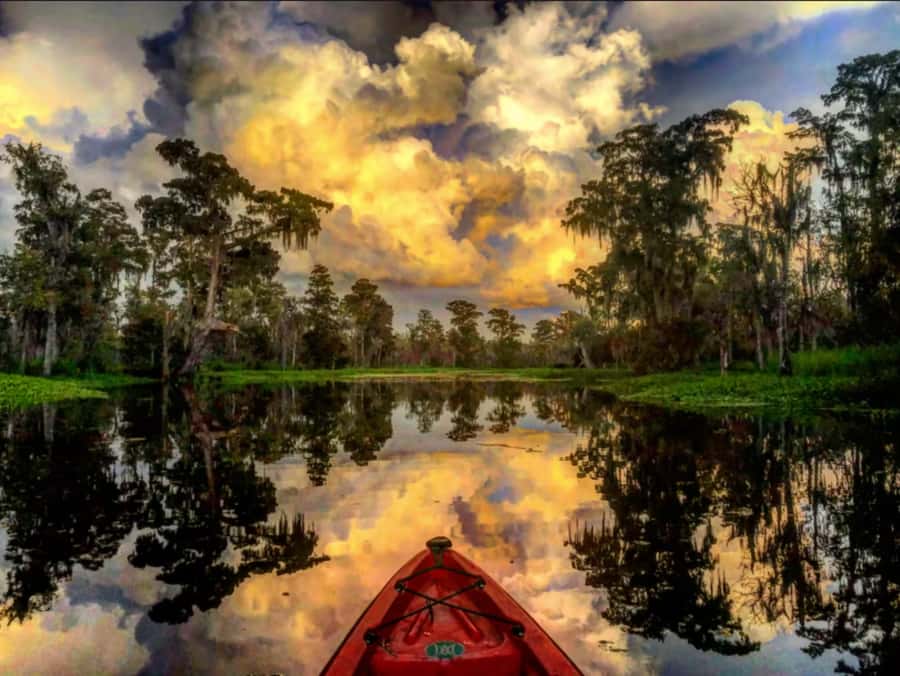 New Orleans: Manchac Swamp Wildlife Kayaking Tour - Leaving New Orleans for Manchac Swamp