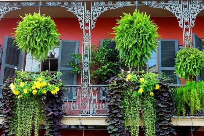 New Orleans Mardi Gras 2026 Experience - Who will enjoy this walking tour