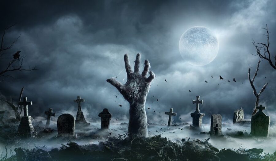 New Orleans: Night Cemetery and Ghost BYOB Bus Tour - Ghost stories with room for humor