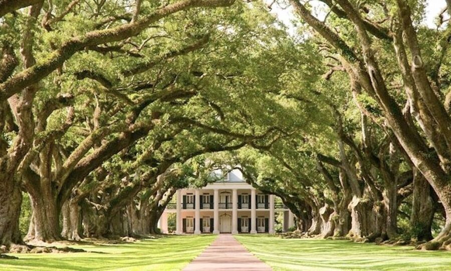 New Orleans: Oak Alley or Laura Plantation & Airboat Tour - Key points to know before you book