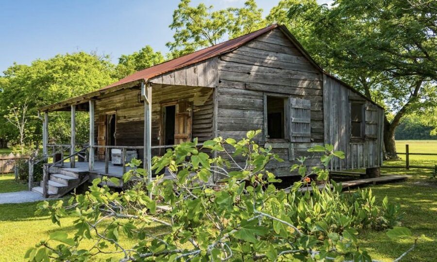 New Orleans: Oak Alley or Laura Plantation & Airboat Tour - One day, two very different sides of Louisiana