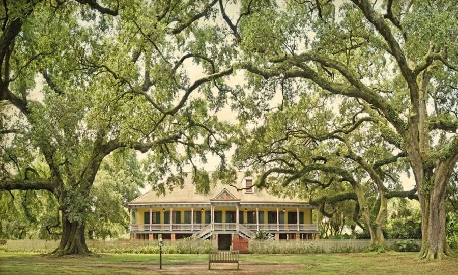 New Orleans: Oak Alley or Laura Plantation & Airboat Tour - Is $175 a fair price?