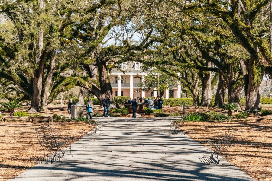 New Orleans: Oak Alley Plantation & Airboat Swamp Combo Tour - Key points to know before you book