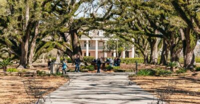 Oak Alley Plantation & Airboat Swamp Combo Tour