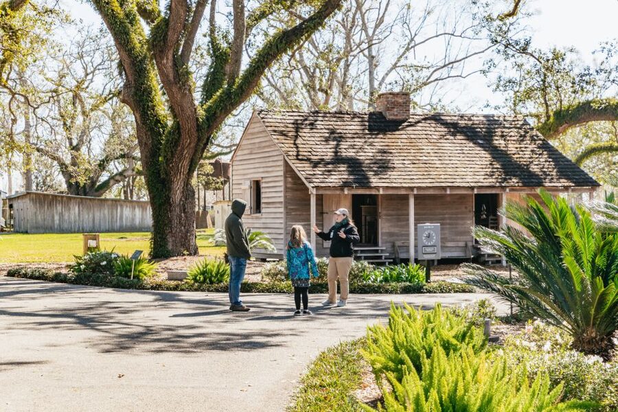 New Orleans: Oak Alley Plantation & Airboat Swamp Combo Tour - From historic estate to Barataria Basin