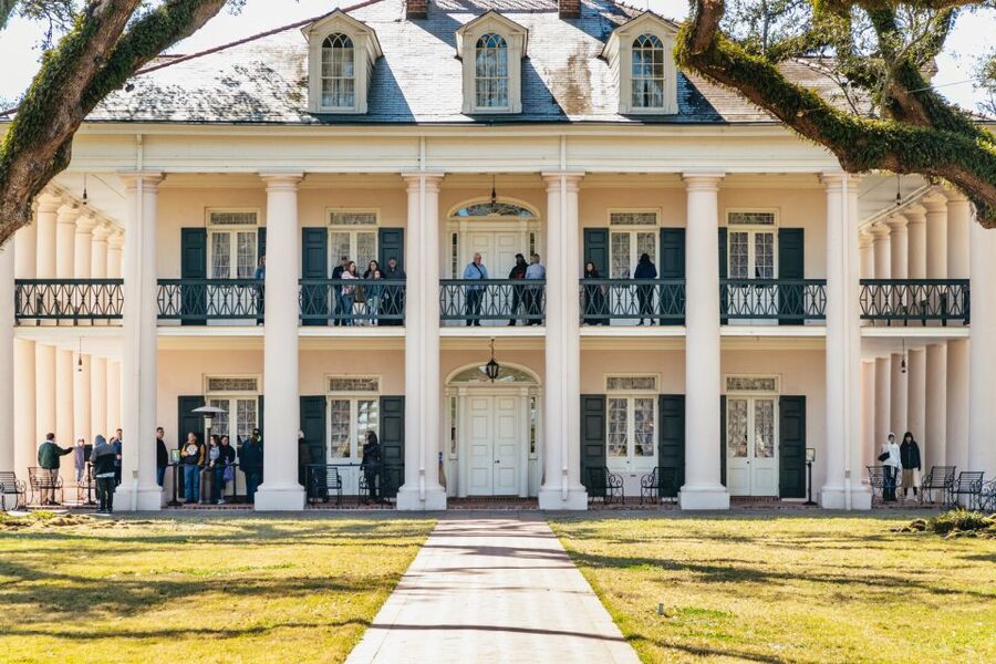 New Orleans: Oak Alley Plantation & Airboat Swamp Combo Tour - Wildlife, weather, and the best time to ride