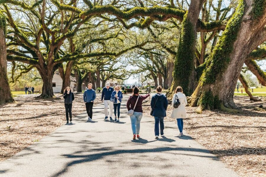 New Orleans: Oak Alley Plantation & Airboat Swamp Combo Tour - Does $160 offer good value?