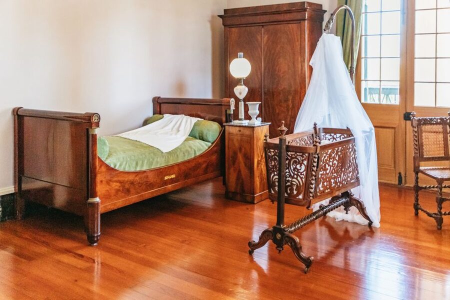 New Orleans: Oak Alley Plantation & Airboat Swamp Combo Tour - Practical ways to make the day better